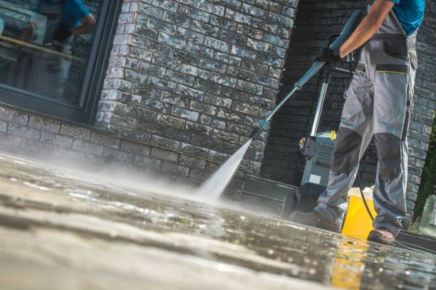 Best Gutter Cleaning  in Fruitland, MD